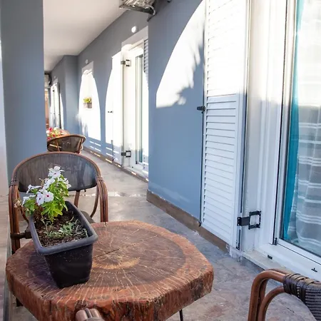 فيلة Cavalieri